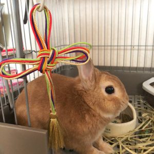 お守りに守られている百福