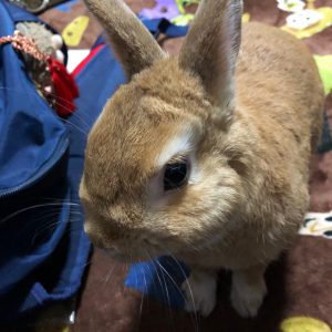 2019年もよろしく百福